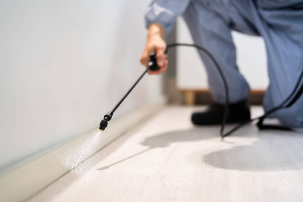 Bed Bug Pre-Treatment Preparation Assessment in Forest City
